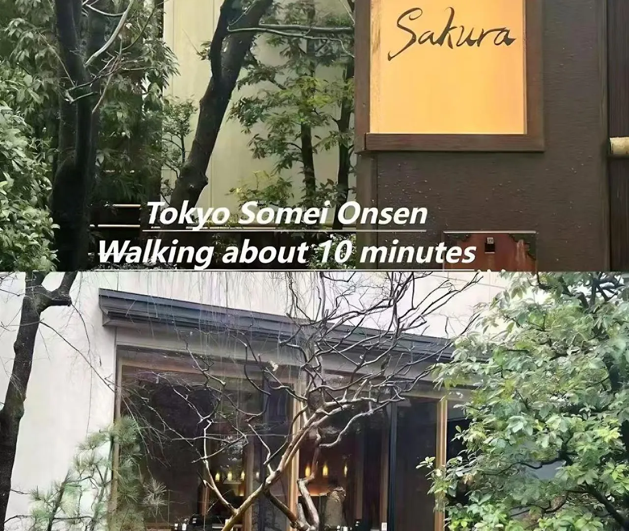 桜の川34 Sugamo Diamond Mansion 401 Direct To Ikebukuro Yamanote Line 5Mins Apartment Tokyo Japan
